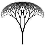 Modulo2/Fractalcanopy.svg.png