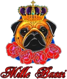 img/logo.png