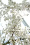 img/Nature/EV9A3967.jpg