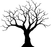 cooltree.png