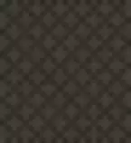 bg.png