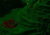 LAND OF.../Act6Act4-LOMAX.jpg
