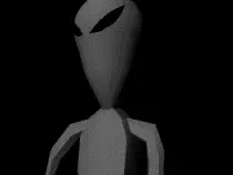 images/grey.gif