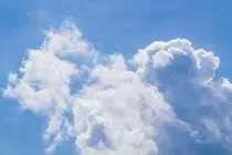 images/background.jpg