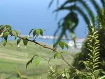DSCN0718.jpg