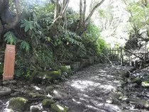DSCN0730.jpg