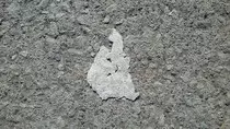 20160919_143236.jpg