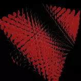 images/012.png