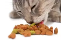 images/catfood.jpg