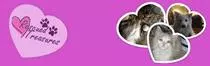 rtnewlogo.jpg