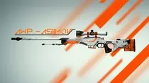 imagenes/awp.jpg