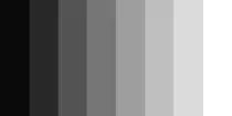 images/tonalgris.jpg