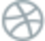 test/img/dribbble.png