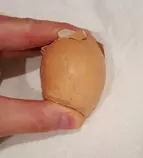 hardboiledeggs/images/SqueezeGently.jpg