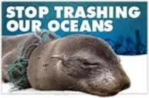 seal.jpg