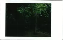 pictures/44.png