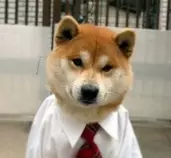 images/user.jpg