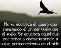 pajaro.jpg