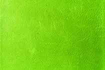 tareaMod_1/fondo_verde.jpg