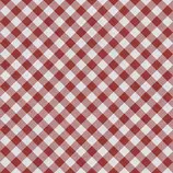 Code101/images/patterns/checked-red.jpg
