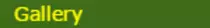 gallery.png