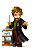 harrypottergif.gif
