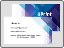 img/standard_businesscard.png