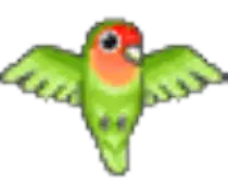 exotic.gif