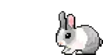 lab.gif