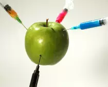 BIOTEC/sabias4.jpg