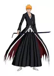 Ichigo1.jpg