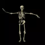 images/skeleton_dancing.gif