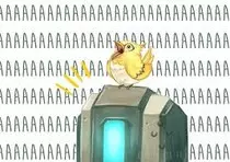 images.jpeg