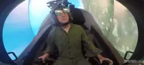 img/2.gif