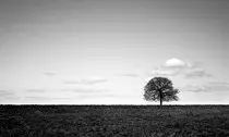 images/about-image.jpg