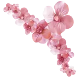 images/flor.png