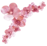 images/flor2.png