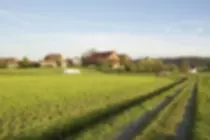 interno/planodefundo.jpg