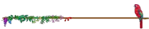 PARROT.gif