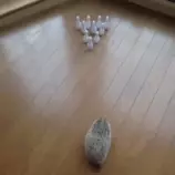 giphy (2).gif