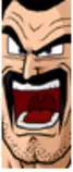 pelearsus/img/05.png