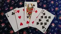 Victorian/TheOldMaid.jpg