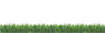 imagen/cesped.png