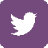 img/twitter-wrap.png