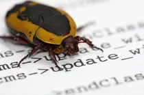 img/bug-max-width-ie8.jpg