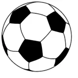 img/svg.png