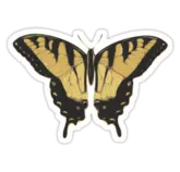 butterfly1.png