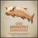 GMO-Absolutely-Dangerous-FB-BP-300x300.jpg