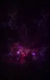 space2.jpg
