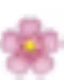3flower.png